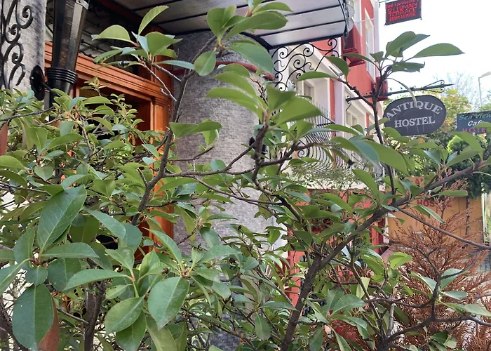 Antique Hostel İstanbul